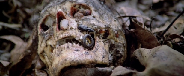 cannibal-holocaust-skull.jpg